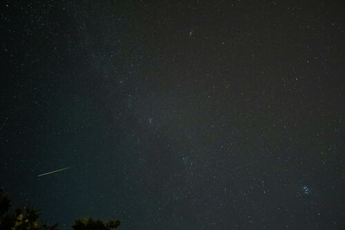 Perseid (10)